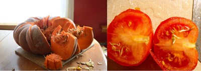 Sprouting seeds in pumpkin and tomatoes