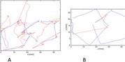 Shannon entropy: A&#160;novel parameter for quantifying pentagon copying performance in non-demented Parkinson's&#160;disease patients