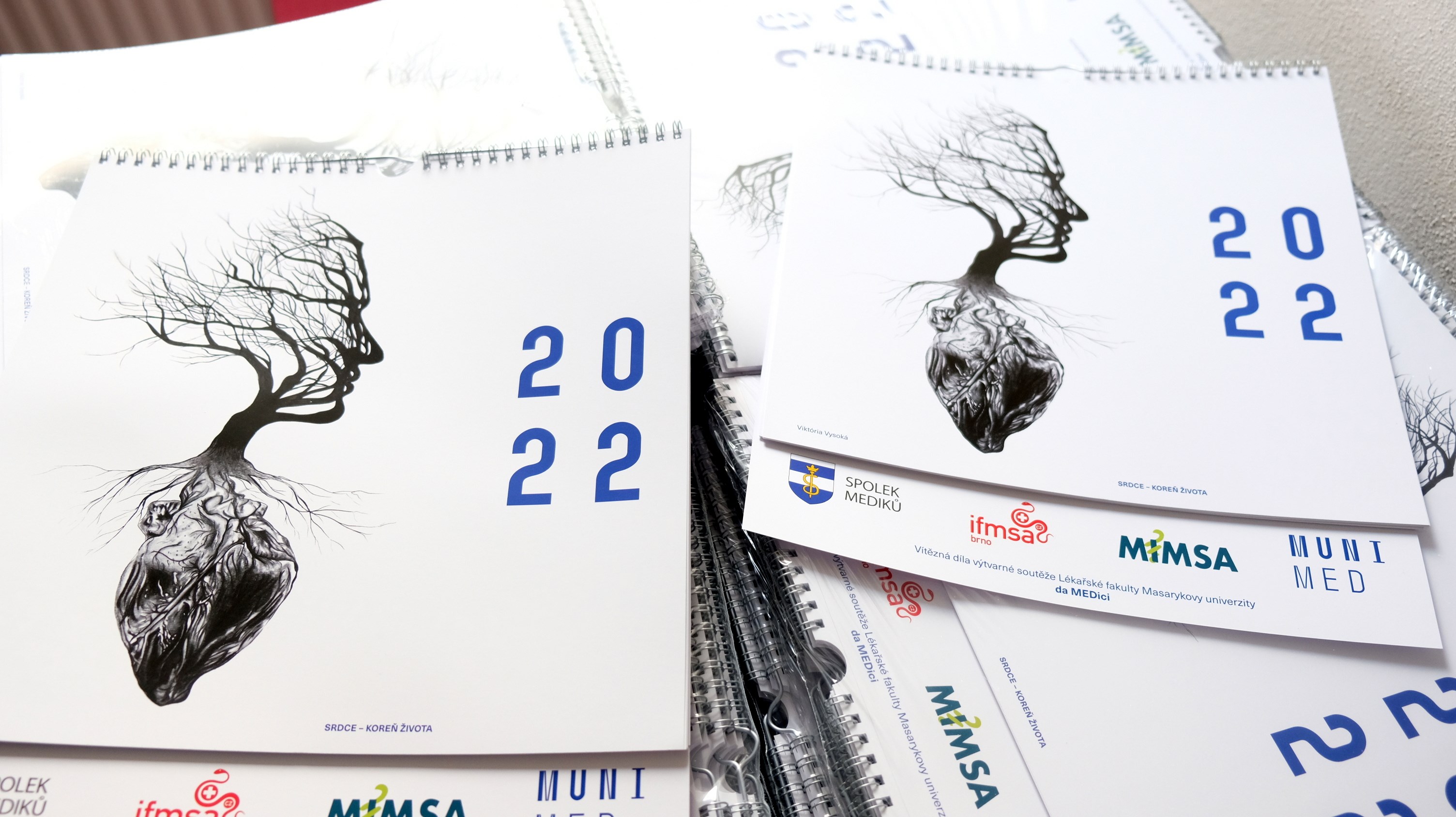 Výtvarná soutěž da MEDici: Známe výtěžek aukce a máme kalendář!