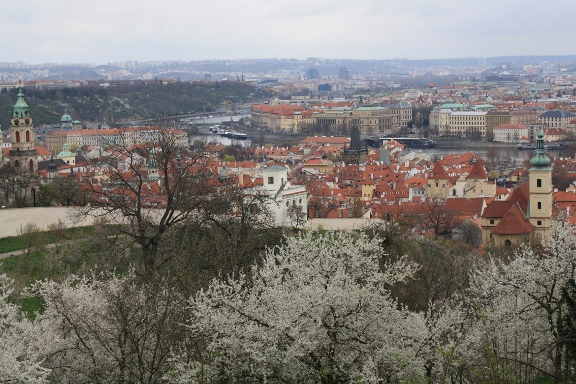 Photo from Petřín in Prague. It’s definitely worth a trip in the springtime to see the cherry blossoms!