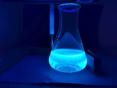 Obr. 3 Fluorescence chininu v toniku