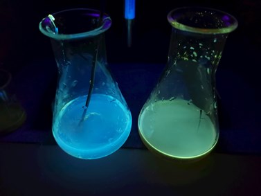 Obr. 2 Fluorescence uhlíkových kvantových teček (CQD) ve vodě