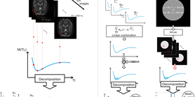 Identification of Laminar Composition in Cerebral Cortex Using Low-Resolution Magnetic Resonance Images and Trust Region Optimization Algorithm