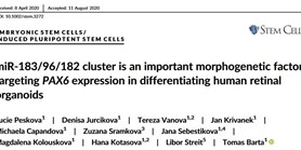 Our paper has been published in Stem Cell journal