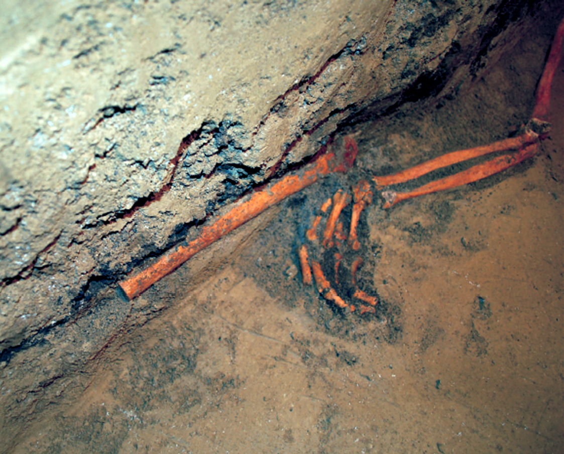 Nálezová situace jedince s amputací dolní končetiny (foto: Michal Přichystal).