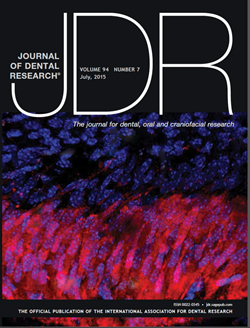 Cover – Journal of Dental Research; CiteAB - Image of the year Award