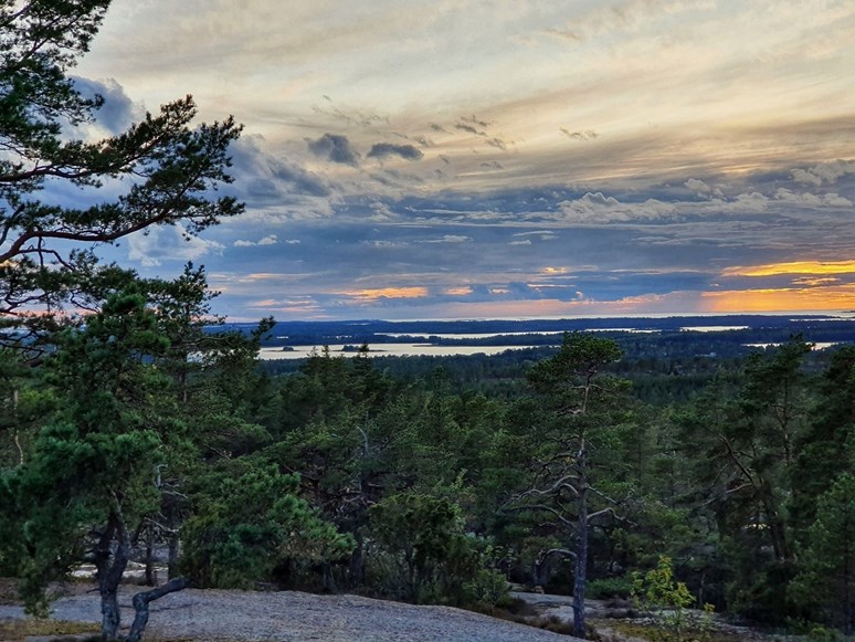 Swedish landscape