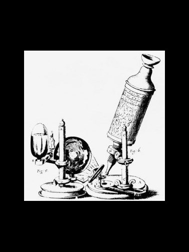 Takto vypadal mikroskop, který používal Robert Hooke. Byl to jeden z nejlepších mikroskopů 17. století
