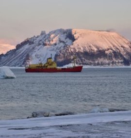 Antarctic and Arctic Research