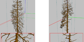 3D tree reconstructions from LiDAR Scans