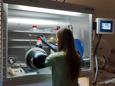 Preparation for the synthesis in dry nitrogen atmosphere in a glovebox