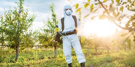 Pesticidy aneb globální chemická hrozba