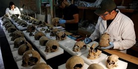 Avaři pocházeli ze severovýchodní Asie, zjistili vědci. Porovnávali DNA z&#160;kosterní nálezů v&#160;Maďarsku