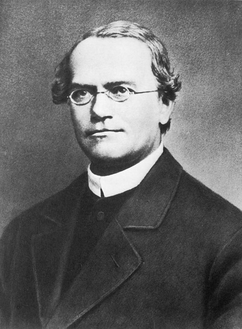 Gregor Johann Mendel was a man of personality. He presents a series of seven podcasts by J. Relichová.