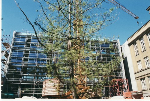 Stavba knihovny, srpen 2001