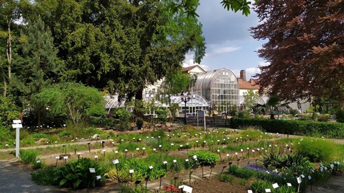 Venkovní část zahrady věnována systému rostlin.