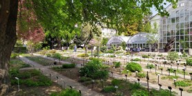 Botanická zahrada PřF MU