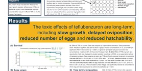 Chronic effects of an insect growth regulator -&#160;teflubenzuron -&#160;on the full life cycle og Folsomia candida via food exposure