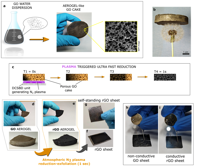 a) highly porous GO material (so called cake) prepared from GO dispersion; b) light highly porous GO aerogel cake on top of dandelion fluff; c) scheme of ultra-fast plasma triggered reduction-exfoliation of porous GO accompanied by color change; d) untreated porous GO cake of brown color; e) black rGO cake after plasma reduction-exfoliation process; f) rGO after pressing into a thin rGO sheet; g) manipulation with self-standing rGO sheet; h) and i) comparison of electrical conductivity of non-co