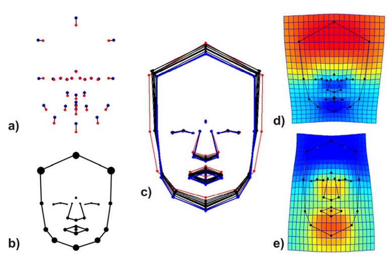 Analýzy věkových změn rozměrů a tvaru obličeje 