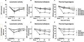 Polyphenolic grape stalk and coffee extracts attenuate spinal cord injury-induced neuropathic pain development in ICR-CD1 female mice