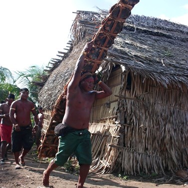 During the festivals and parties, metoro, the privileged food is the turtle, kaprã, which is offered by the family of the honoured people to the other participants, here a memy, and adult man brings a turtle ladder to the village for everybody to eat.