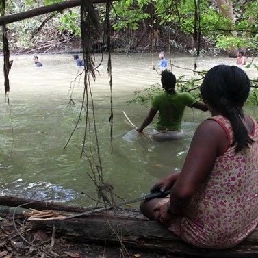 Fishing is usually a masculine activity, here however, the girls are waiting for the fishes to wallowing out of the water after the vines have been submerged, as they remove oxygen from the water.