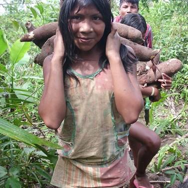 When collecting food, everybody helps, here a young girl is helping to bring the manioc from the garden carrying it in a box made of leaves.