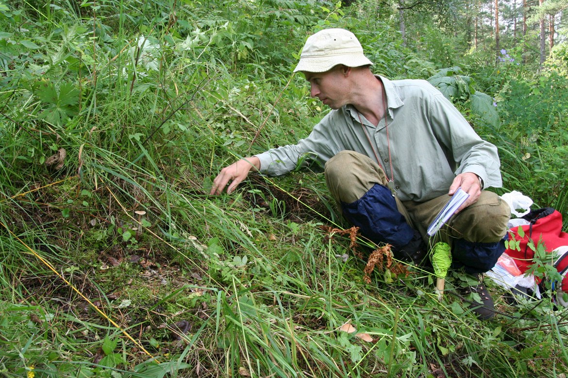 Botanici z Masarykovy univerzity před několika lety na objevili na jižní Sibiři lesy s druhově nejbohatším bylinným podrostem v mimotropické Eurasii. Nová studie potvrdila, že rostlinná společenstva této oblasti patří k celosvětově nejbohatším.