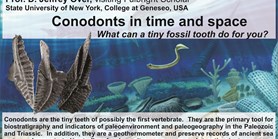 Conodonts in time and space