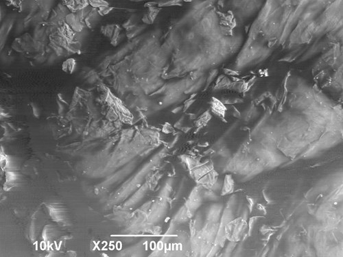 Povrch lidské pokožky zvětšený v elektronovém mikroskopu 250 x. Jsou vidět odlupující se zrohovatělé buňky.