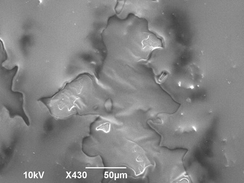 Povrch lidské pokožky zvětšený v elektronovém mikroskopu 430 x. Je vidět odlupující se zrohovatělá vrstva, která vzniká rozpadem zrohovatělých buněk.
