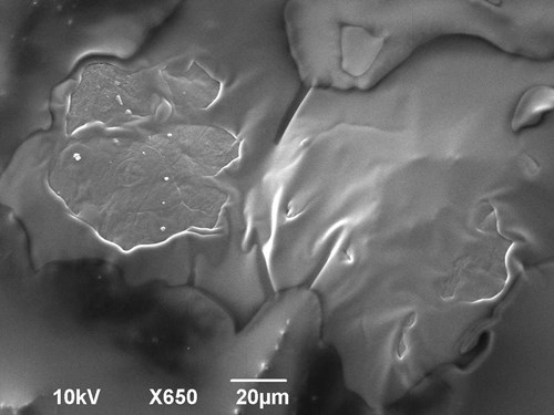 Povrch lidské pokožky zvětšený v elektronovém mikroskopu 650 x. Je vidět odlupující se zrohovatělá vrstva.