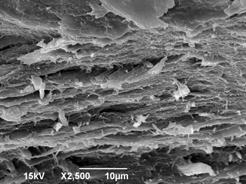 Ustřižený konec nehtu v elektronovém mikroskopu. Viditelné jsou vrstvy keratinu i dutiny mezi jednotlivými vrstvami. Zvětšeno 2500x.