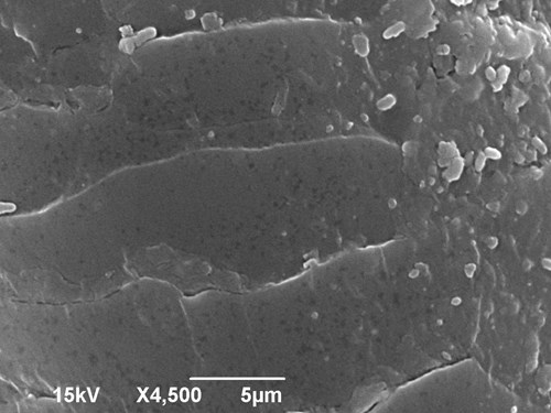  Šupinatá kutikula vlasu zvětšená v elektronovém mikroskopu 2300x.