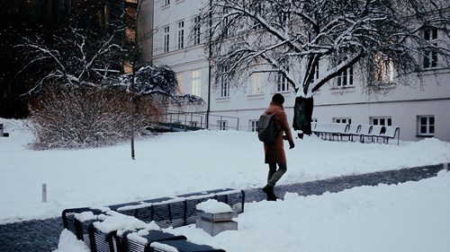 Snow-covered faculty campus in December 2022