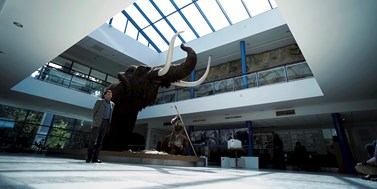 Prodloužení deadlinu přihlášek soutěže Zlatý mamut pro ročník 2022
