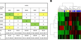 Small RNA Sequencing Identifies a&#160;Six-MicroRNA Signature Enabling Classification of Brain Metastases According to their Origin
