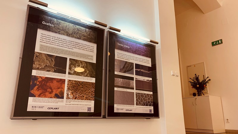 Posters are also dedicated to graphene and thin layers.