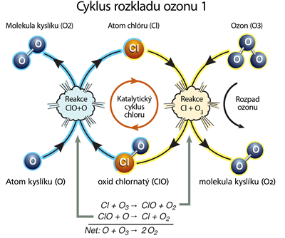 Jak chlor ničí molekuly ozonu