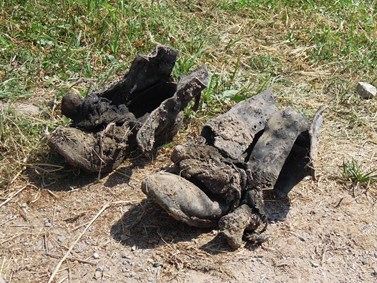 Vojenské boty. Chybí tkaničky – zastřelený byl vojenský zajatec