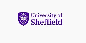 Nuria’s secondment at the University of Sheffield