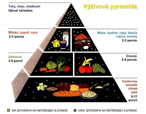 Ukázka potravinové pyramidy
