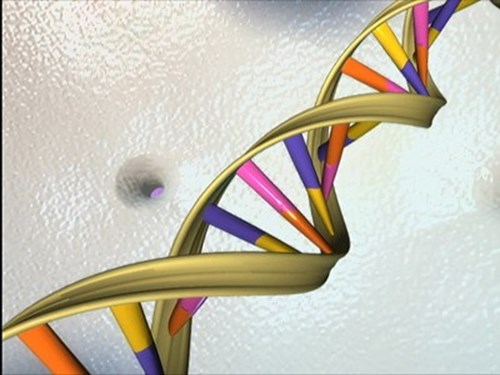DNA šroubovice