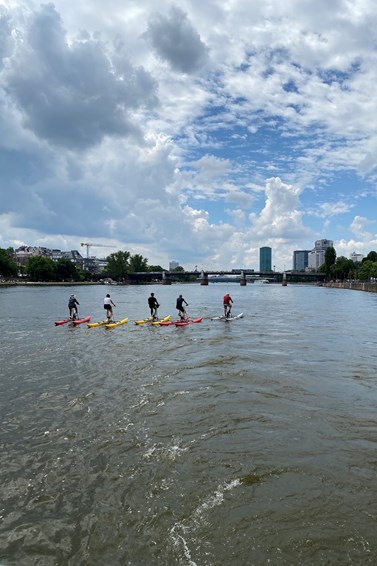 Sporting activities in the river Main