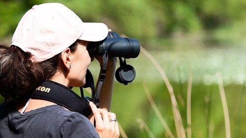 Ať vidíte do dálky sebelépe, dalekohled vždy bude při pozorování ptactva nezbytnou součástí vaší výbavy.