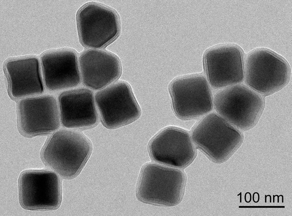 Zobrazení UCNPs pomocí transmisní elektronové mikroskopie. Zdroj: archiv výzkumné skupiny Imunostanovení a nanosenzory.