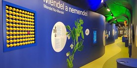 Nabídka pro naše studenty- Mendelovo muzeum hledá nové průvodce