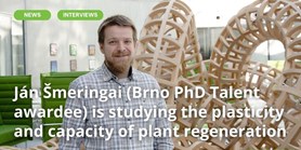 Ján Šmeringai studuje plasticitu a&#160;kapacitu regenerace rostlin
