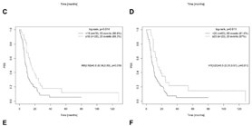 Effects of Reoperation Timing on Survival among Recurrent Glioblastoma Patients: A&#160;Retrospective Multicentric Descriptive Study